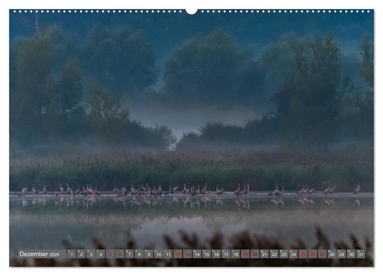 Produktbild: Mit Kranichen durch das Jahr (Wandkalender 2026 DIN A2 quer), CALVENDO Monatskalender