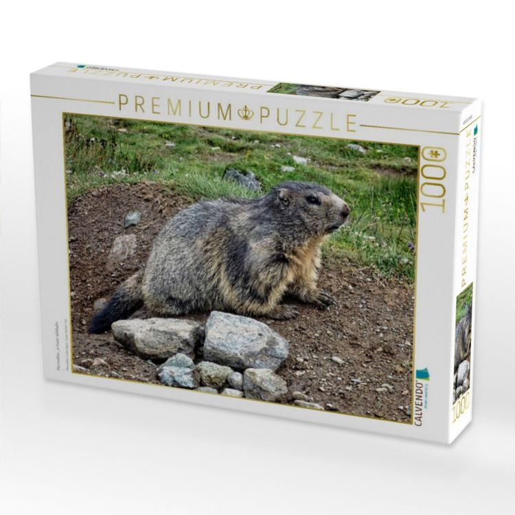 Produktbild: CALVENDO Puzzle Murmeltier....in freier Wildbahn | 1000 Teile Lege-Gr&ouml;&szlig;e 64x48cm Foto-Puzzle f&uuml;r gl&uuml;ckliche Stunden