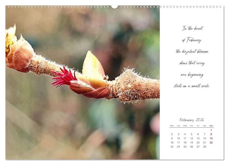 Produktbild: Golden breaks with mindfulness (Wall Calendar 2026 DIN A2 landscape), CALVENDO 12 Month Wall Calendar
