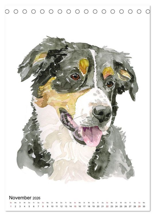 Produktbild: Hunde Portr&auml;ts in Aquarell (Tischkalender 2026 DIN A5 hoch), CALVENDO Monatskalender
