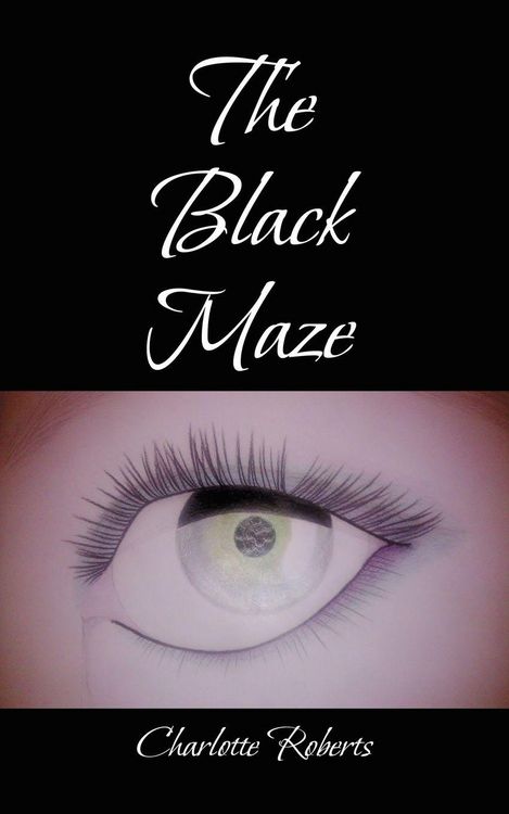 Produktbild: The Black Maze