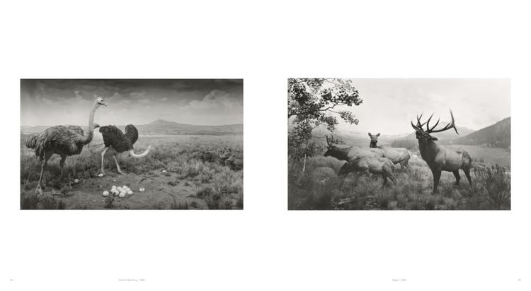 Produktbild: Hiroshi Sugimoto