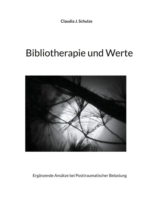 Produktbild: Bibliotherapie und Werte