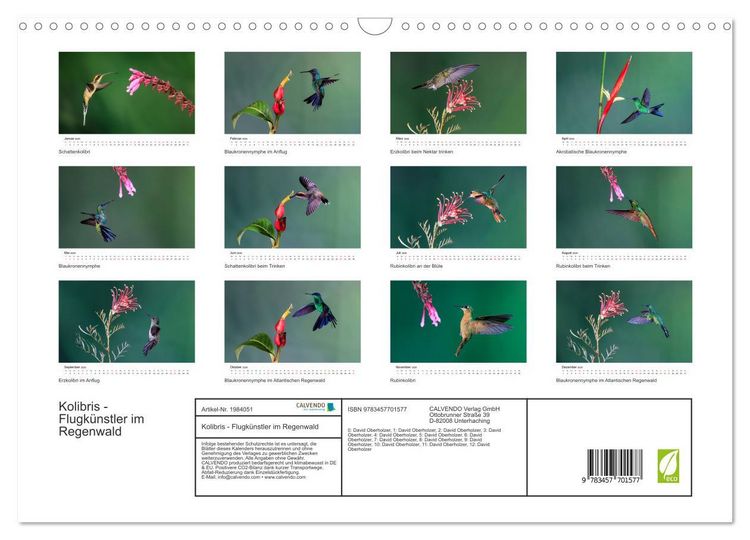 Produktbild: Kolibris - Flugk&uuml;nstler im Regenwald (Wandkalender 2026 DIN A3 quer), CALVENDO Monatskalender