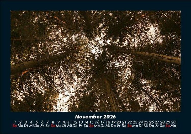 Produktbild: Bilder der Natur 2026 Fotokalender DIN A5