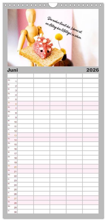Produktbild: Familienplaner 2026 - Mettkalender - Mettigel Edition mit 5 Spalten (Wandkalender, 21 x 45 cm) CALVENDO