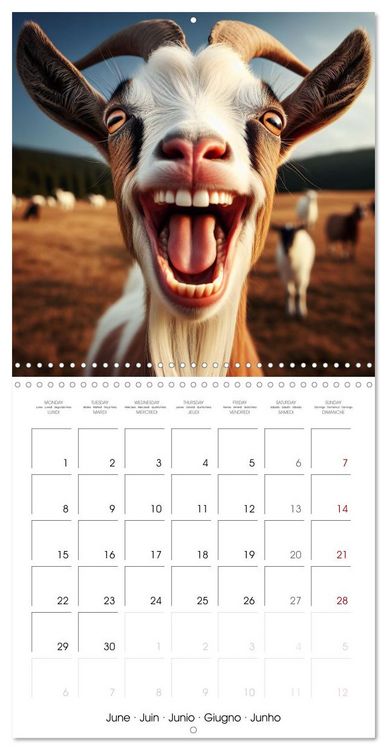 Produktbild: Joie animale - Une ann&eacute;e de sourires et d'&eacute;nergie positive (Calendrier mural carr&eacute; 2026 30x30 cm) Calendrier double avec une page pour vos prises de notes