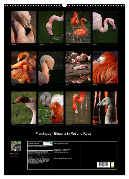 Produktbild: Flamingos - Eleganz in Rot und Rosa (Wandkalender 2026 DIN A2 hoch), CALVENDO Monatskalender