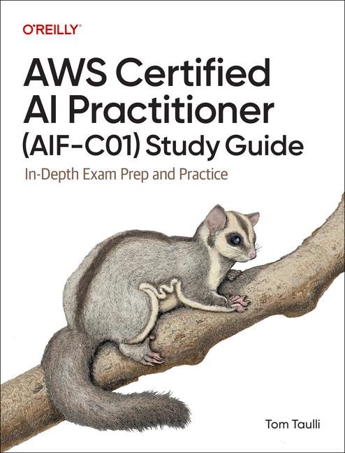Produktbild: AWS Certified AI Practitioner Study Guide