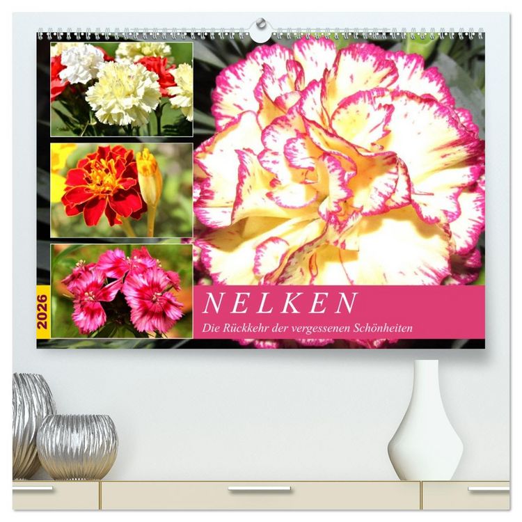 Produktbild: Nelken. Die R&uuml;ckkehr der vergessenen Sch&ouml;nheiten (hochwertiger Premium Wandkalender 2026 DIN A2 quer), Kunstdruck in Hochglanz