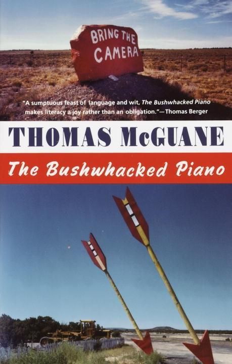 Produktbild: The Bushwhacked Piano