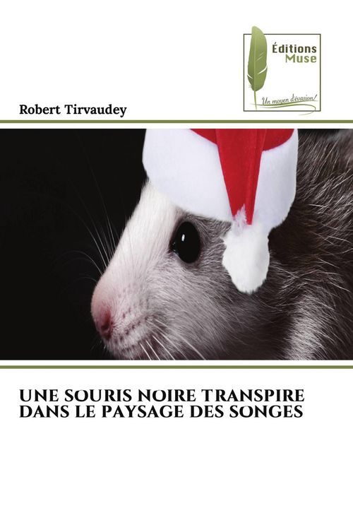 Produktbild: UNE SOURIS NOIRE TRANSPIRE DANS LE PAYSAGE DES SONGES