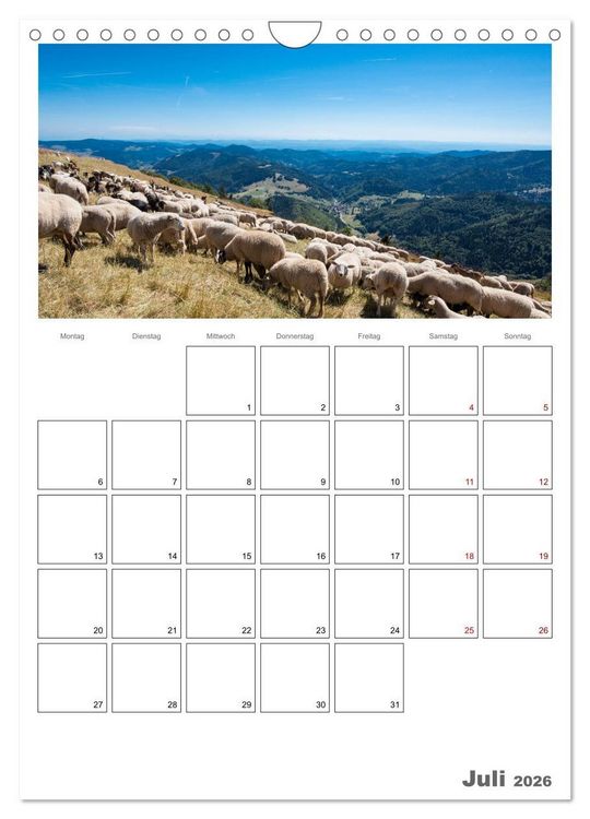 Produktbild: Schafe - 12 Monate in der Herde (Wandkalender 2026 DIN A4 hoch), CALVENDO Monatskalender