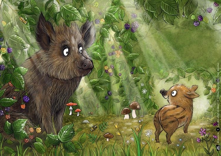Produktbild: Wie schl&auml;ft der Wald? Kamishibai Bildkartenset