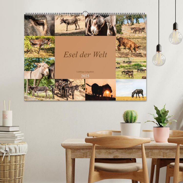 Produktbild: Esel der Welt - Lieblings Langohren (Wandkalender 2025 DIN A2 quer), CALVENDO Monatskalender