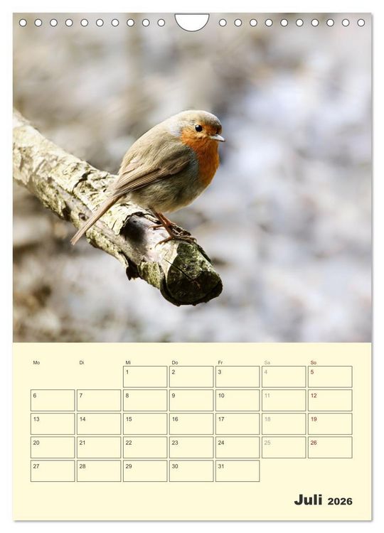 Produktbild: Vogelwelt an der Sieg (Wandkalender 2026 DIN A4 hoch), CALVENDO Monatskalender