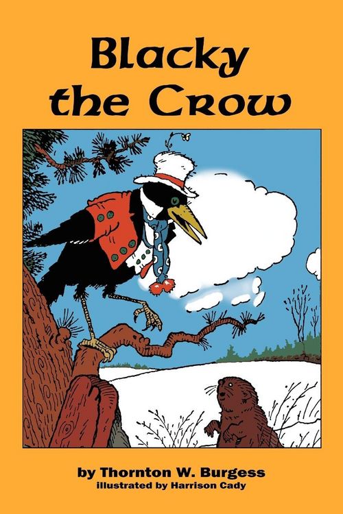 Produktbild: Blacky the Crow