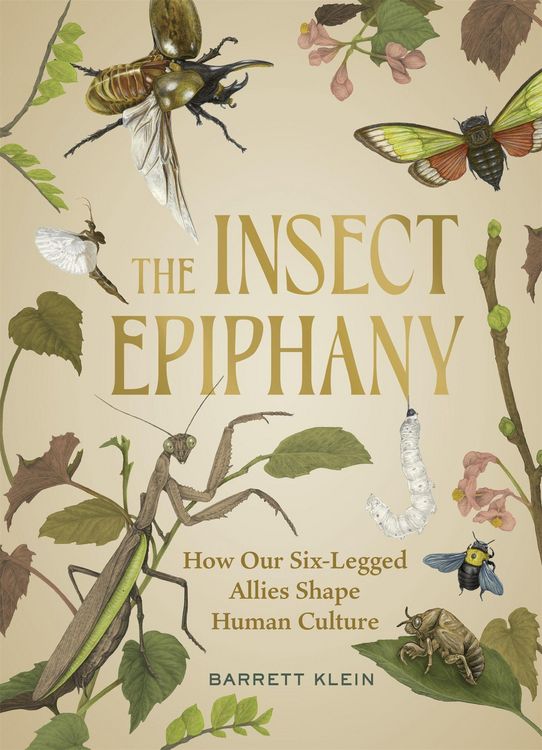 Produktbild: The Insect Epiphany