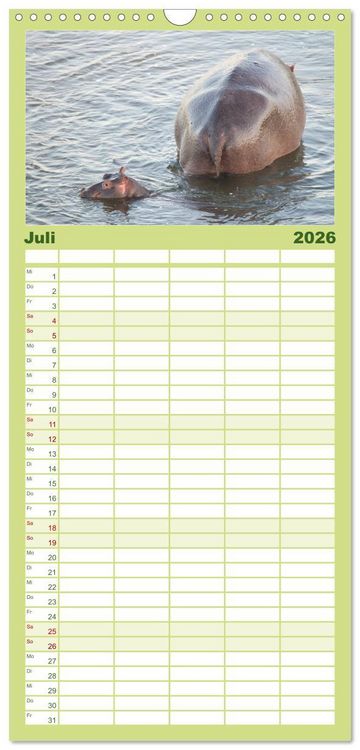Produktbild: Familienplaner 2026 - Nilpferde, Kolosse im Wasser mit 5 Spalten (Wandkalender, 21 x 45 cm) CALVENDO
