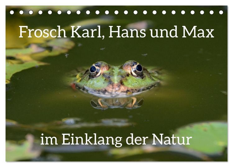 Produktbild: Frosch Karl, Hans und Max im Einklang der Natur (Tischkalender 2026 DIN A5 quer), CALVENDO Monatskalender