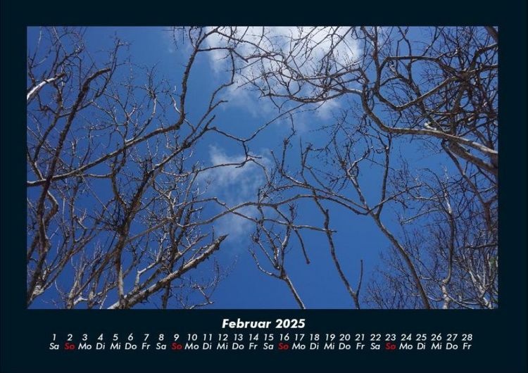Produktbild: Bilder der Natur 2025 Fotokalender DIN A4