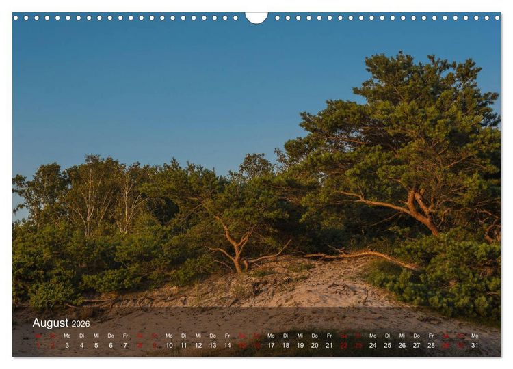 Produktbild: Insel Hiddensee - Wildromantisch unber&uuml;hrt (Wandkalender 2026 DIN A3 quer), CALVENDO Monatskalender