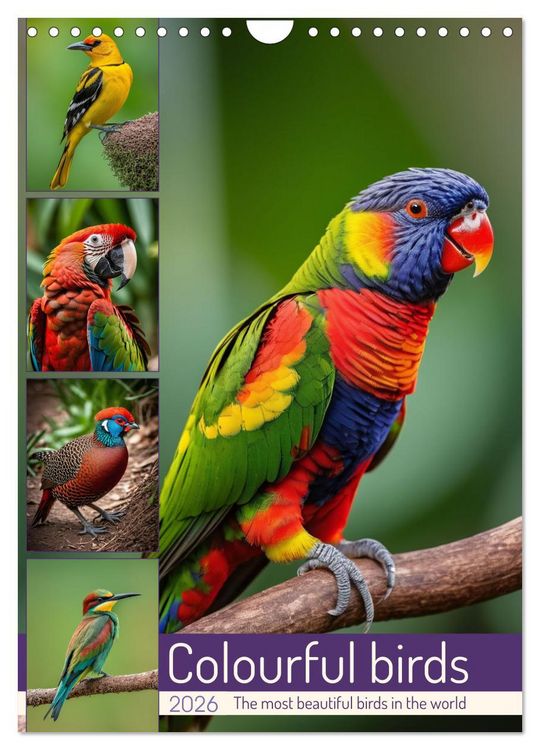 Produktbild: Colourful birds (Wall Calendar 2026 DIN A4 portrait), CALVENDO 12 Month Wall Calendar