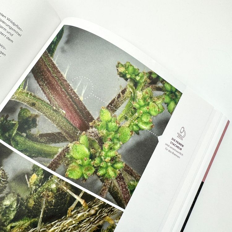 Produktbild: Wie Wildkr&auml;uter wirken
