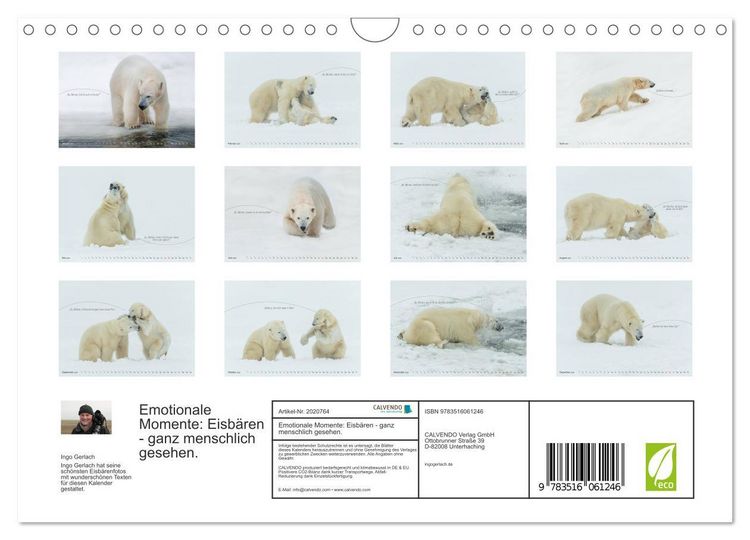 Produktbild: Emotionale Momente: Eisb&auml;ren - ganz menschlich gesehen. (Wandkalender 2026 DIN A4 quer), CALVENDO Monatskalender