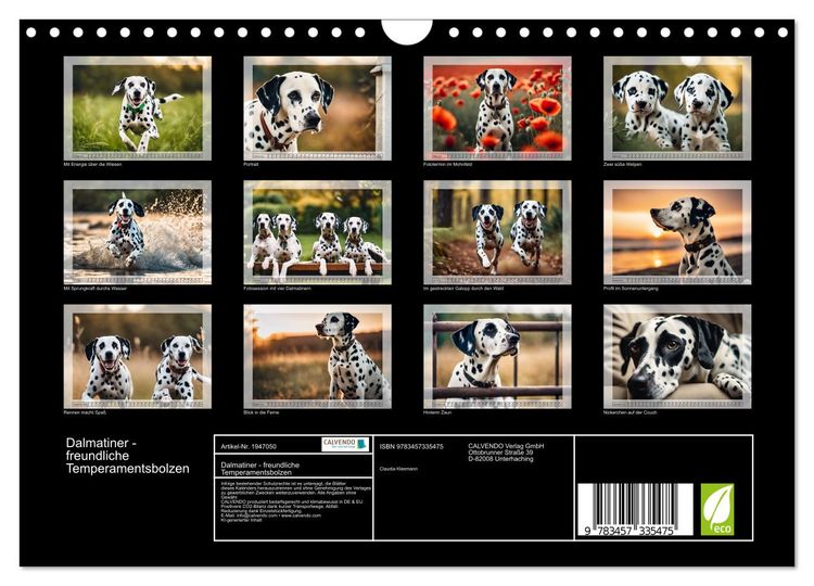 Produktbild: Dalmatiner - freundliche Temperamentsbolzen (Wandkalender 2026 DIN A4 quer), CALVENDO Monatskalender