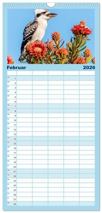Produktbild: Familienplaner 2026 - Der Kookaburra - Im australischen Busch mit dem lachenden Hans mit 5 Spalten (Wandkalender, 21 x 45 cm) CALVENDO