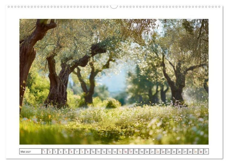 Produktbild: Die Magie der Olivenhaine (Wandkalender 2027 DIN A2 quer), CALVENDO Monatskalender