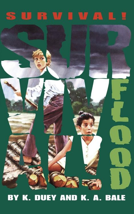 Produktbild: Flood