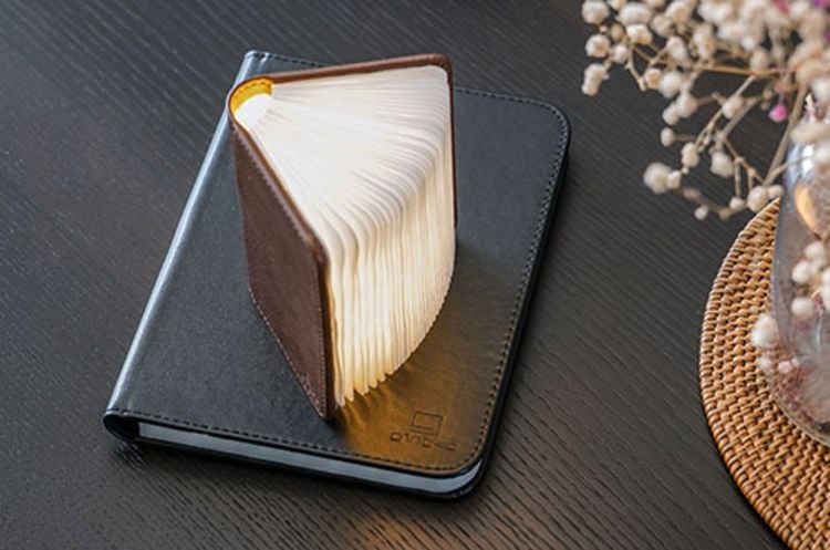 Produktbild: BOOKLIGHT Smart Mini Leder Braun