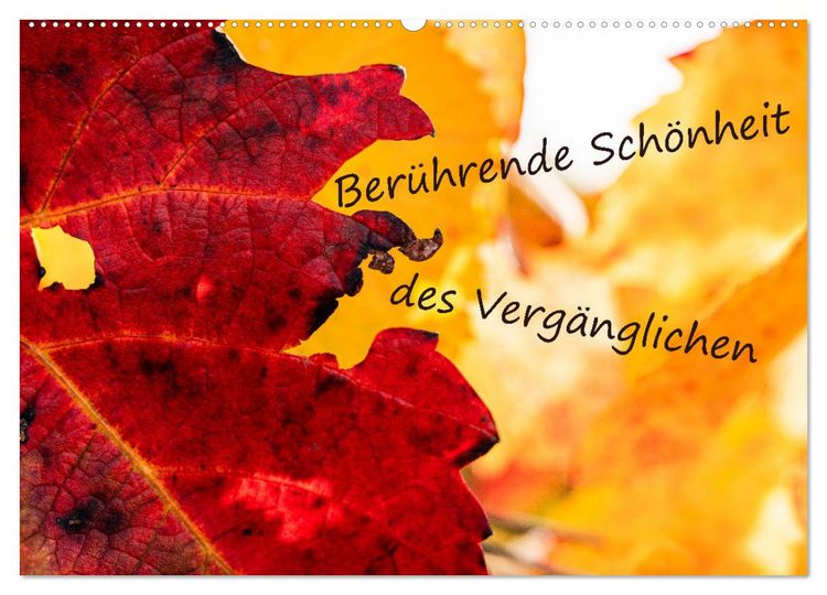 Produktbild: Ber&uuml;hrende Sch&ouml;nheit des Verg&auml;nglichen (Wandkalender 2026 DIN A2 quer), CALVENDO Monatskalender