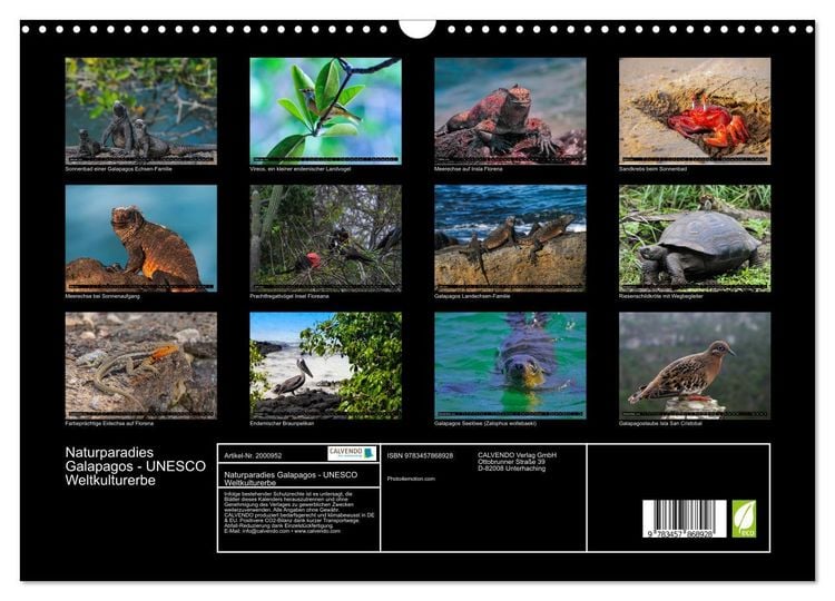 Produktbild: Naturparadies Galapagos - UNESCO Weltkulturerbe (Wandkalender 2026 DIN A3 quer), CALVENDO Monatskalender
