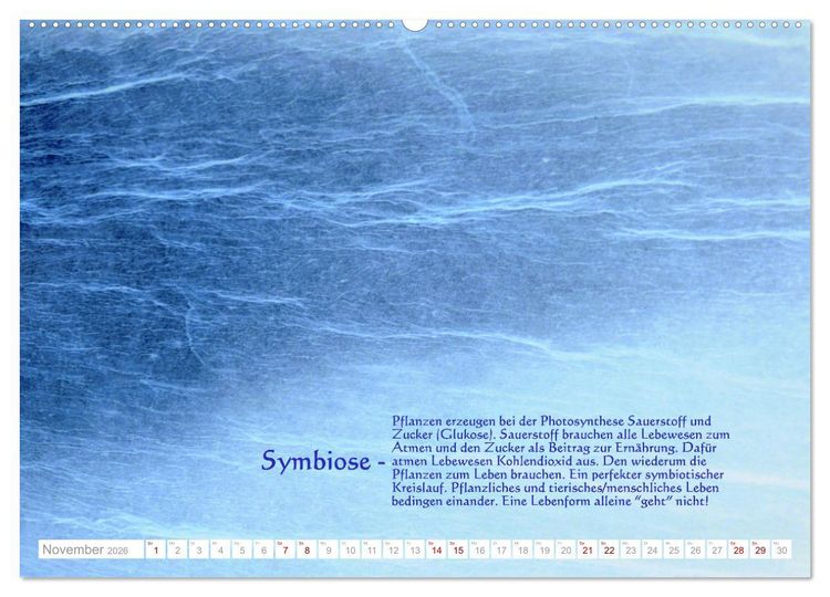 Produktbild: Vermeintliche Gottesbeweise - Nachdenk-Kalender (hochwertiger Premium Wandkalender 2026 DIN A2 quer), Kunstdruck in Hochglanz