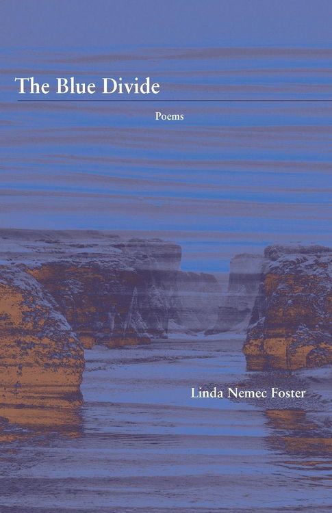 Produktbild: The Blue Divide