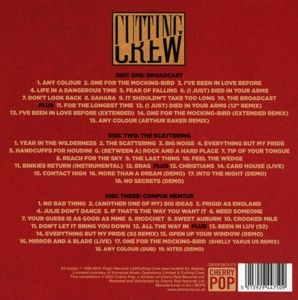 Produktbild: All For You-The Virgin Years 1986-1992 (3CD Box)
