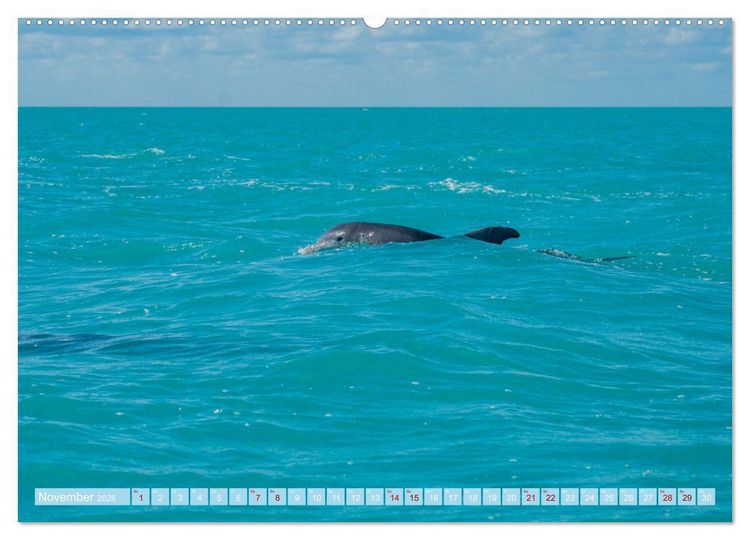 Produktbild: Mexiko - Die wundersch&ouml;ne Halbinsel Yucat&aacute;n Fotokalender 2026 (hochwertiger Premium Wandkalender 2026 DIN A2 quer), Kunstdruck in Hochglanz