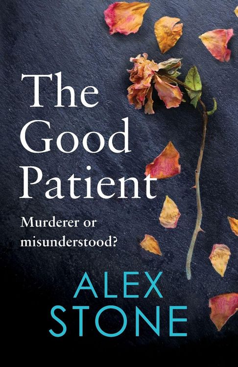 Produktbild: The Good Patient