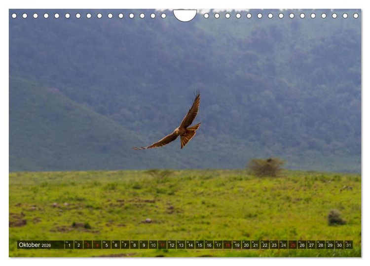 Produktbild: Abenteuer Tansania, Afrika (Wandkalender 2026 DIN A4 quer), CALVENDO Monatskalender