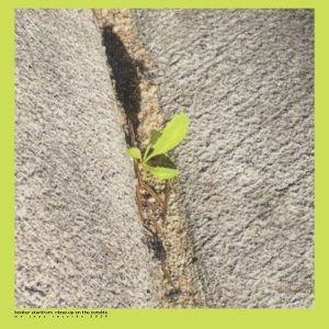 Produktbild: Close-up On The Outside