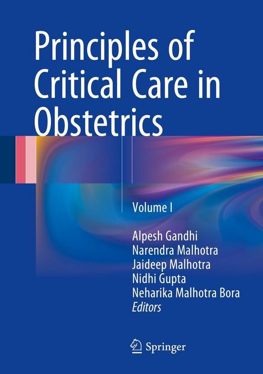 Produktbild: Principles of Critical Care in Obstetrics