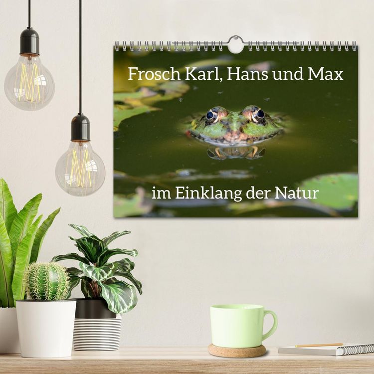 Produktbild: Frosch Karl, Hans und Max im Einklang der Natur (Wandkalender 2026 DIN A4 quer), CALVENDO Monatskalender