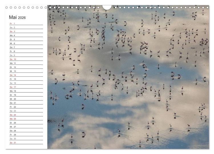 Produktbild: Emotionale Momente: Mein wildes Afrika (Wandkalender 2026 DIN A3 quer), CALVENDO Monatskalender