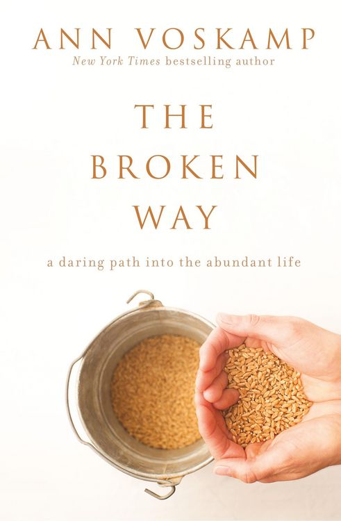 Produktbild: The Broken Way