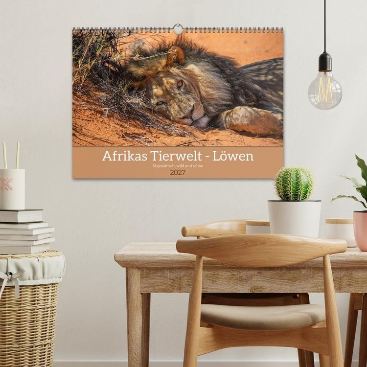 Produktbild: Afrikas Tierwelt - L&ouml;wen (Wandkalender 2027 DIN A3 quer), CALVENDO Monatskalender