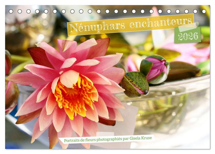 Produktbild: N&eacute;nuphars enchanteurs (Calendrier de bureau 2026 DIN A5 vertical), CALVENDO calendrier mensuel