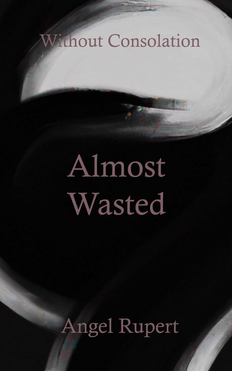 Produktbild: Almost Wasted